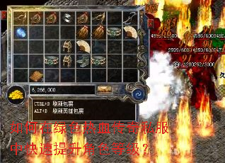 �������ɫ��Ѫ����˽���п���������ɫ�ȼ���