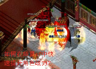 ����ڻ���sf�п���������ɫս����