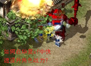 ����ڻ���sf�п���������ɫս����