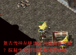 ���Ŵ�������Թ����������δ���̽�ش�����Ϸ�����ͼ����