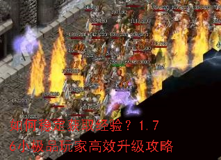 ����ȶ���ȡ���飿1.76С��Ʒ��Ҹ�Ч��������