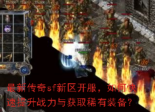 ���´���sf������������ο�������ս�����ȡϡ��װ����