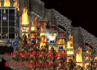��ο�������������ְҵ�����ֻ���ս����