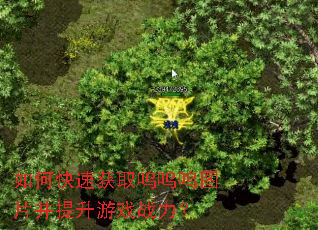 如何快速获取呜呜呜图片并提升游戏战力? 如何快速获取呜呜呜图片并提升游戏战力?