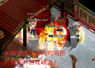 如何快速获取呜呜呜图片并提升游戏战力? 如何快速获取呜呜呜图片并提升游戏战力?