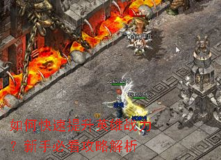 如何快速提升英雄战力?新手必看攻略解析 如何快速提升英雄战力?新手必看攻略解析