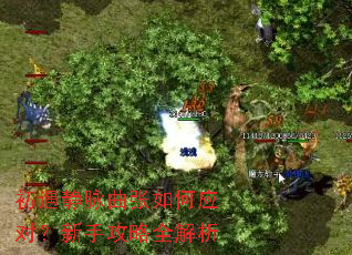 初遇静脉曲张如何应对?新手攻略全解析 初遇静脉曲张如何应对?新手攻略全解析
