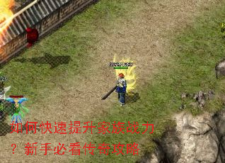 如何快速提升家族战力?新手必看传奇攻略 如何快速提升家族战力?新手必看传奇攻略