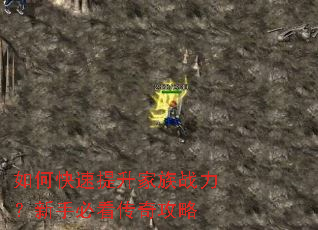 如何快速提升家族战力?新手必看传奇攻略 如何快速提升家族战力?新手必看传奇攻略
