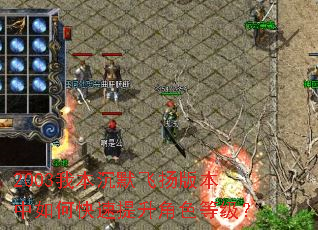 2003我本沉默飞扬版本中如何快速提升角色等级? 2003我本沉默飞扬版本中如何快速提升角色等级?
