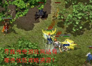 寻找传奇游戏网站有哪些优质攻略资源? 寻找传奇游戏网站有哪些优质攻略资源?