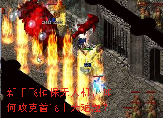 新手飞植保无人机,如何攻克首飞十大难题? 新手飞植保无人机,如何攻克首飞十大难题?