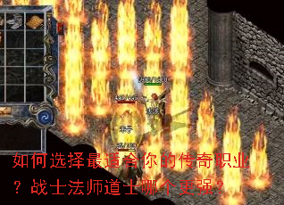 ���ѡ�����ʺ���Ĵ���ְҵ��սʿ��ʦ��ʿ�ĸ���ǿ��
