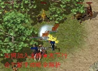 如何加入龙腾★天下行会?新手攻略全解析 如何加入龙腾★天下行会?新手攻略全解析