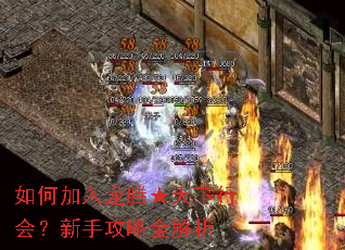 如何加入龙腾★天下行会?新手攻略全解析 如何加入龙腾★天下行会?新手攻略全解析