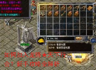 如何加入龙腾★天下行会?新手攻略全解析 如何加入龙腾★天下行会?新手攻略全解析