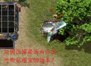 如何选择最适合你的传奇私服宠物版本? 如何选择最适合你的传奇私服宠物版本?