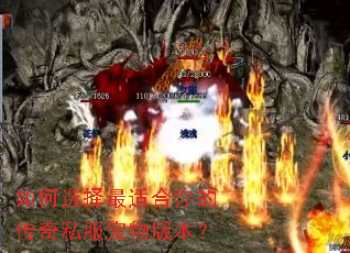 如何选择最适合你的传奇私服宠物版本? 如何选择最适合你的传奇私服宠物版本?