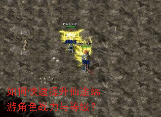 如何快速提升仙途端游角色战力与等级? 如何快速提升仙途端游角色战力与等级?